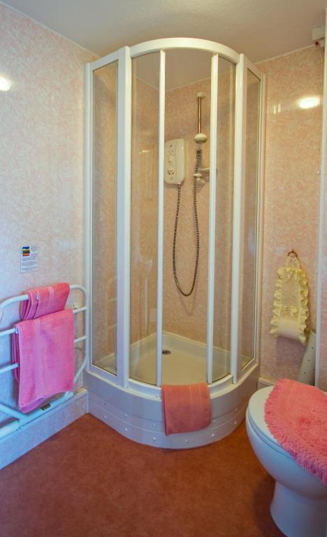 Gwesty Minffordd Hotel Tal-y-llyn Room photo